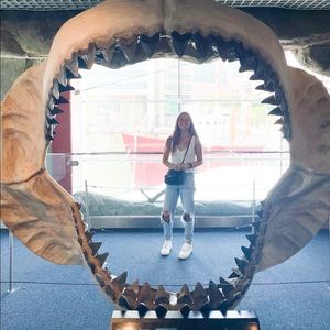 Meet your Posher, Elisabeth